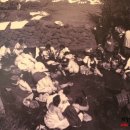 정당새미 이미지