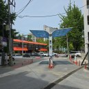 일미순대국 | [경기 수원] 아다미식당｜수원역 노포골목 머릿고기, 암뽕순대국 솔직후기