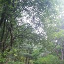 황둔황토마을 이미지