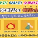 보은군보건소 웹이코노미