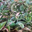 예찬지역아동센터 이미지