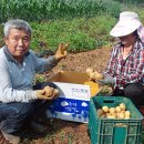 평창흰구름산촌마을 이미지