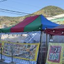 삼순이 | 여수 교동 포차거리 맛집에서 찾은 삼순이 23번포차 꼼장어 제대로 먹은 후기