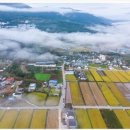 학수고대마을 이미지