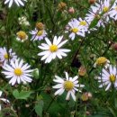 죽엽산농장 이미지