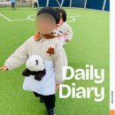 나무와새어린이집 | [어린이집에서 뭐하니?] 2025년 11월 둘째주 일상 공유