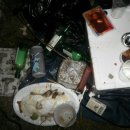 돼지들의이야기 이미지