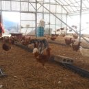 일도 농장 이미지