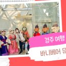 바니베어뮤지엄 이미지