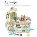 평화목장 | 성산 목장카페 밭디 승마체험 후기 서귀포 카페 추천