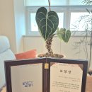 화성정신건강의학과의원 이미지