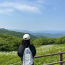 하추리산촌마을 | [인제/국내여행] 2025 봄 &#39;혼자하는 산촌여행&#39; 강원 인제 하추리 산촌마을 곰배령 탐방 1박 2일 후기