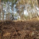 봄이네 농장 이미지