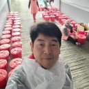 희망자원 | 부산진구 여성자원봉사회 희망나눔 김장 담그기 행사 후기