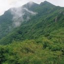 지산리구판장