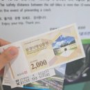 코사마트 | 문경 레일바이크 후기, 예약 실패했는데 현장에서도 바로 탑승했습니다!