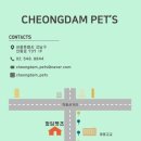 청담펫츠 이미지