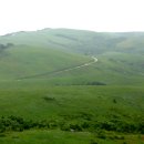 대관령목장 이미지