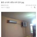 조은소식