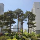 챔피언공인중개사사무소 이미지