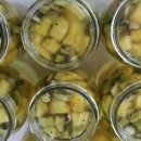 돌고래상가 이미지