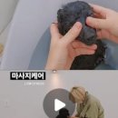 꼼꼼하개 이미지