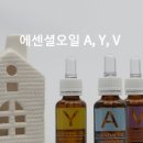 퀸에스테틱 이미지