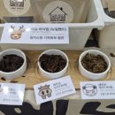 주식회사 우리가제약 이미지