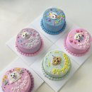 살랑살랑 멍치원 이미지