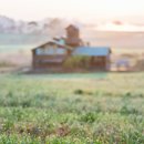 케논목장 이미지