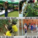 꽃초롱자연학습장 이미지