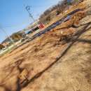 써니농장 이미지