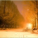 영남대학교 이미지