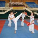 대표태권도 이미지