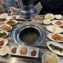 꽃돼지갈매기 네이버블로그
