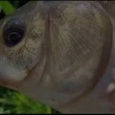 신동지낚시터 이미지