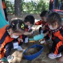 서구그린어린이집 이미지