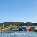 중구 낚시터 화장실 이미지