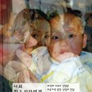 엄마나무몰