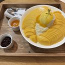 셀레브르 - 시흥시 오이도로 199 | 망고빙수 맛집 송도 셀레브르 후기
