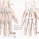 3. 수양명대장경(1) 이미지