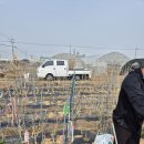 연강농장 이미지