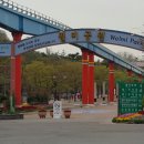 용현초등학교 이미지