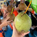 흙으로의 여행 | [베트남] DAY 19. 베트남 호치민 메콩델타 투어 후기｜하루 코스로 다녀오기 좋았던 근교 여행