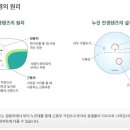 렌즈맨안경원 이미지