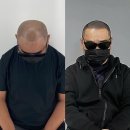 스칼프K 이미지