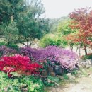 황룡농장 이미지