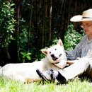 퍼스트펫 이미지