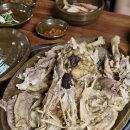 제주 도민 맛집 | 닭 샤브샤브 백숙 성미가든 관광객은 우리만 있던 후기