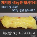 오성희점핑&힐링다이어트